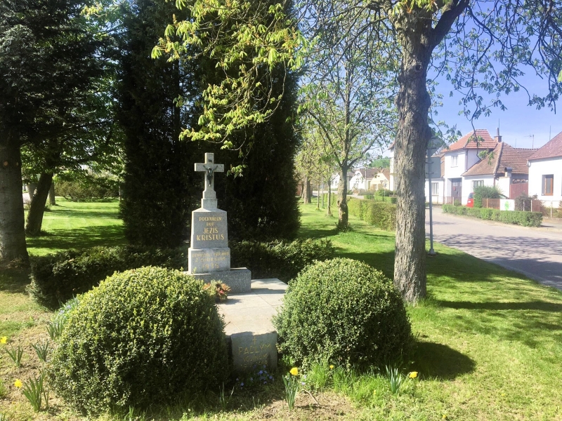 Image 9