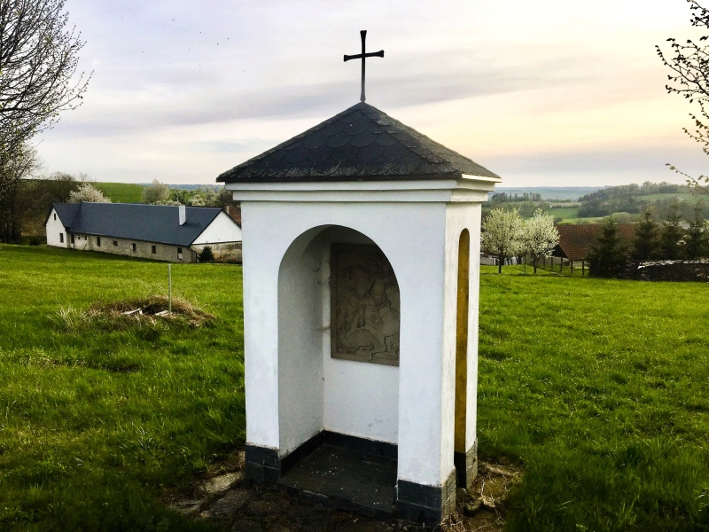 Image 13